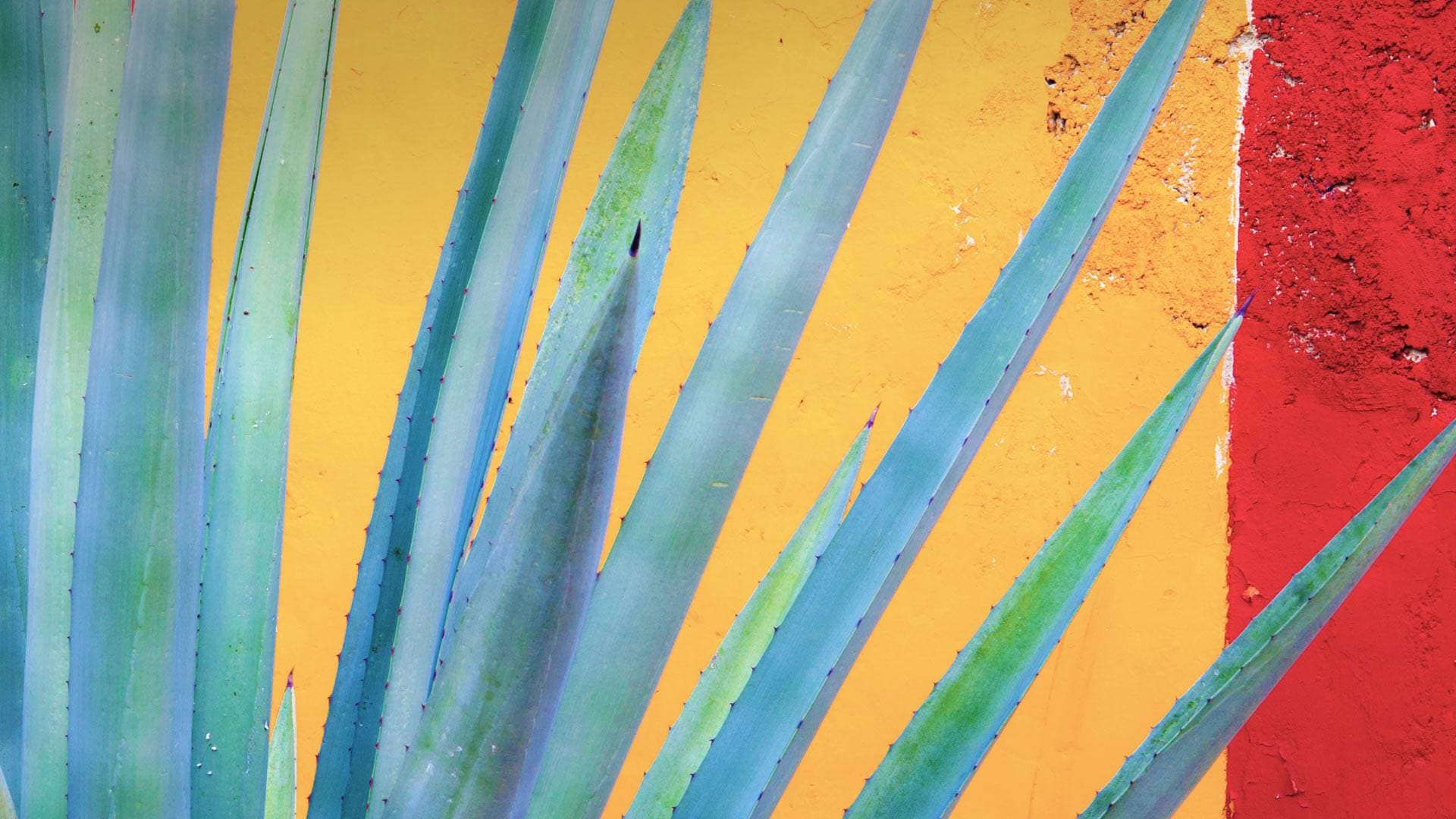 钝刃待砺 未出门已是江湖